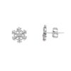 Snowflake earrings
